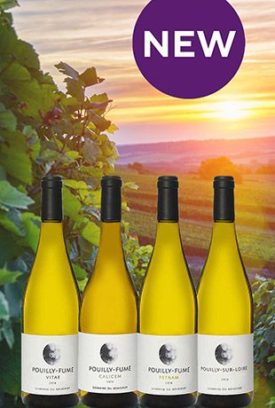 Новинка вина от Domaine du Bouchot Новинка вина от Domaine du Bouchot