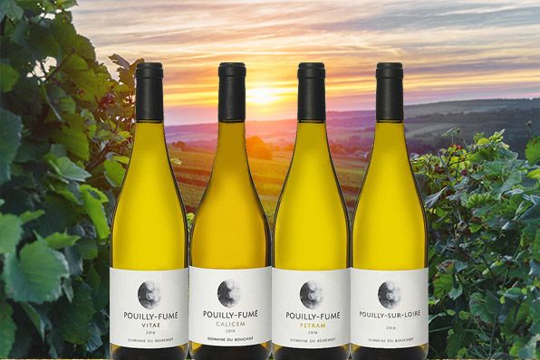 Новинка вина от Domaine du Bouchot