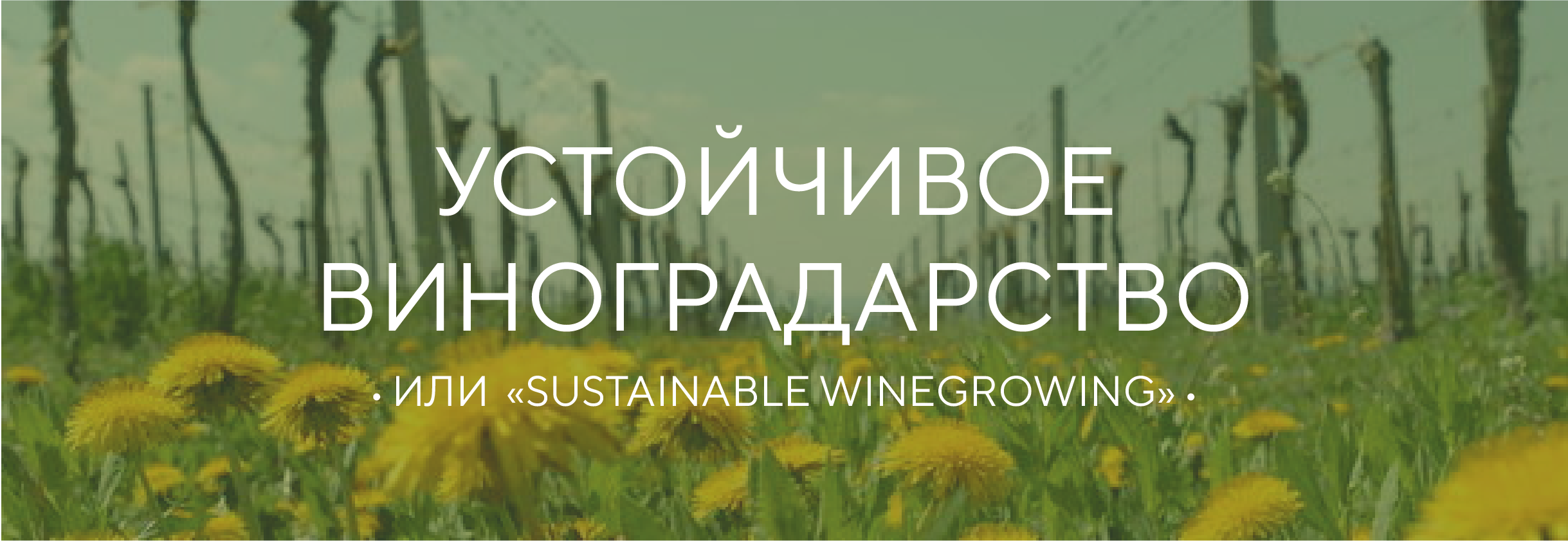 Устойчивое виноградарство / Sustainable winegrowing