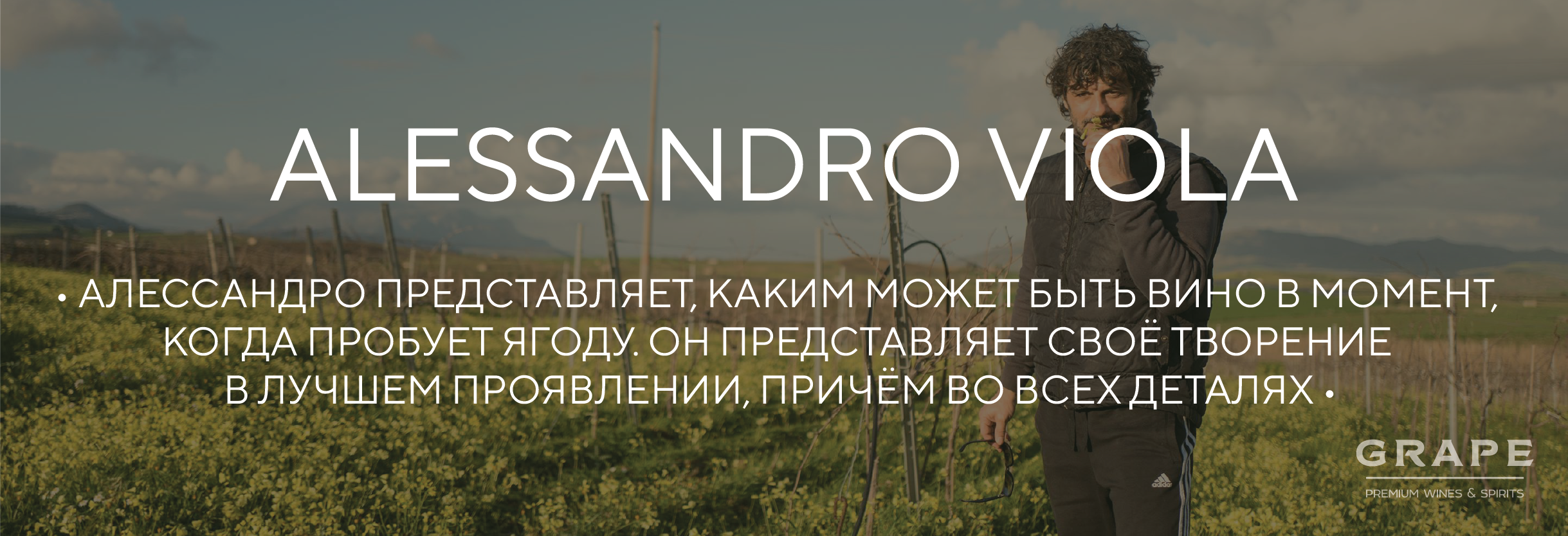 Alessandro Viola — звезда натурального виноделия Сицилии
